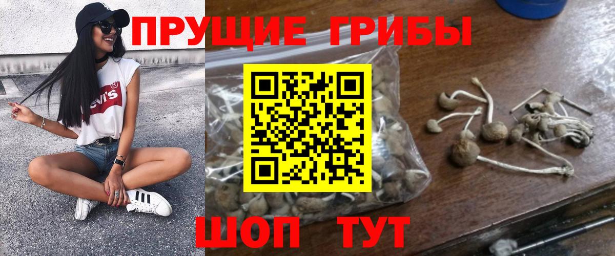 Галлюциногенные грибы MAGIC MUSHROOMS Изобильный